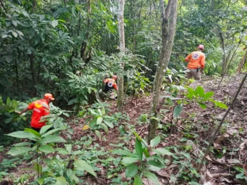 Cinco días de la desaparición de la niña Brianna y autoridades amplian búsqueda