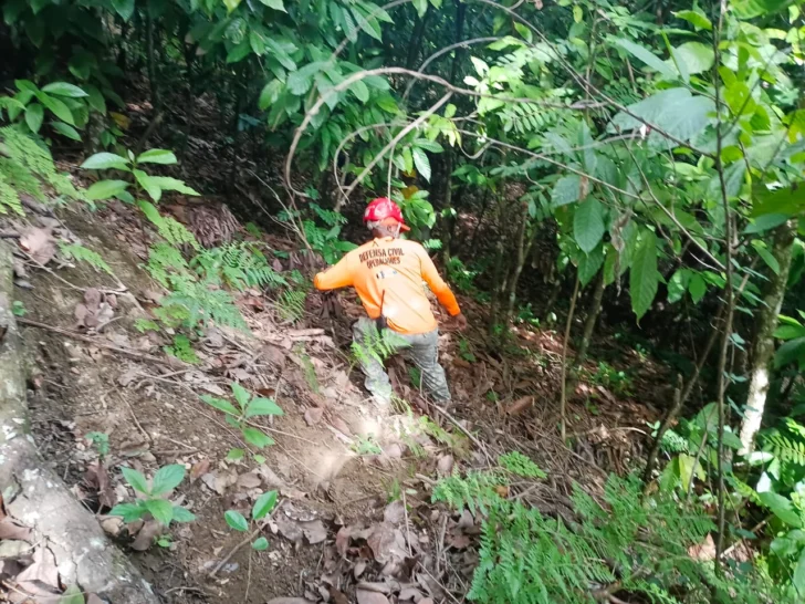 Cinco días de la desaparición de la niña Brianna y autoridades amplian búsqueda Cinco días de la desaparición de la niña Brianna y autoridades amplian búsqueda