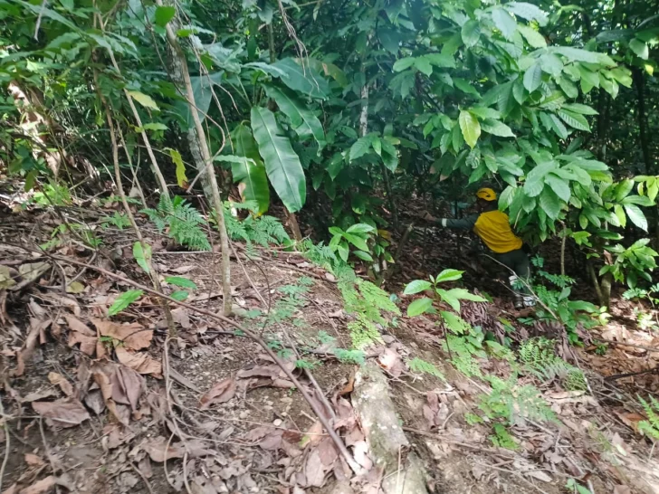 Cinco días de la desaparición de la niña Brianna y autoridades amplian búsqueda Cinco días de la desaparición de la niña Brianna y autoridades amplian búsqueda