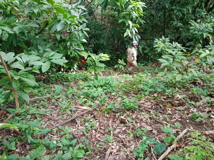 Cinco días de la desaparición de la niña Brianna y autoridades amplian búsqueda Cinco días de la desaparición de la niña Brianna y autoridades amplian búsqueda