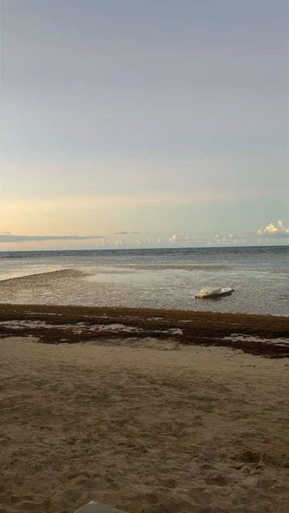 WhatsApp-Image-2026-01-21-at-1.51.59-PM-410x728