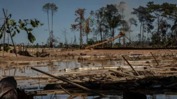 Guardianes de la Trocha: la banda que se disputa el oro y siembra el terror en La Pampa peruana Guardianes de la Trocha: la banda que se disputa el oro y siembra el terror en La Pampa peruana