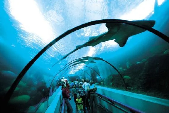 San Valentín con mis hijos e hijas: estos son los lugares donde puedes ir