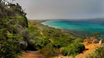 Denuncian sentencia temeraria contra las áreas protegidas