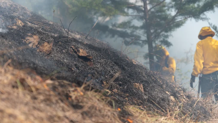 RD registró casi 600 incendios forestales en 2025; la temporada seca concentró la mayor incidencia RD registró casi 600 incendios forestales en 2025; la temporada seca concentró la mayor incidencia