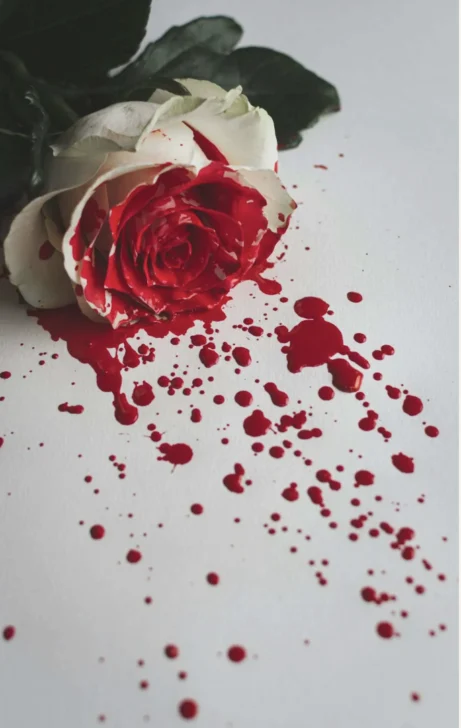 Escuchando la violencia: La Sonata a Kreutzer