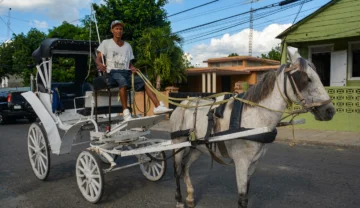 Coches de Santiago inmortalizados en canción de Juan Luis Guerra, tradición que se tambalea, pero se mantiene