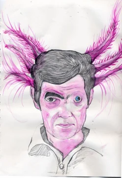 La frontera entre humano y animal en “axolotl” de Julio Cortázar (2)