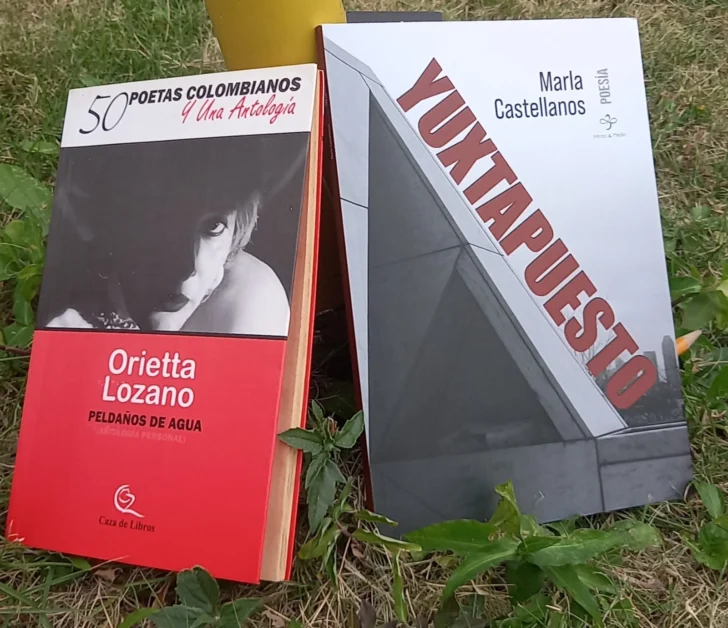 Marla Castellanos/Orietta Lozano: Yuxtapuestas Marla Castellanos/Orietta Lozano: Yuxtapuestas