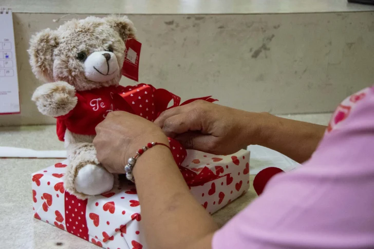 Peluche-y-regalo-728x485