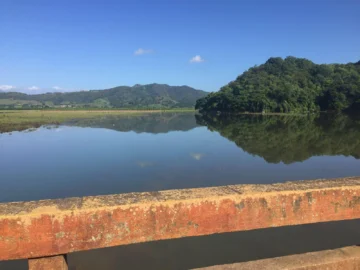 Academia de Ciencias alerta sobre proliferación de cianobacterias y contaminación en la Presa de Hatillo
