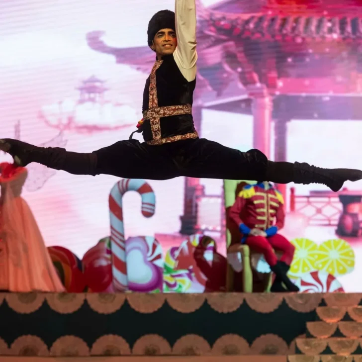 Sander-Robert-728x728