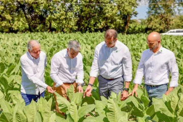 Exportaciones de tabaco se incrementan en más de RD$ 1,000 millones Exportaciones de tabaco se incrementan en más de RD$ 1,000 millones