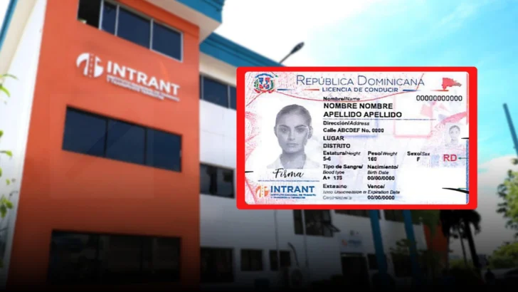 Paso a paso, cómo obtener la nueva licencia