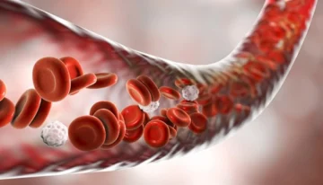 Metáforas: de la circulación, supercarreteras y otros objetos