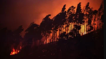 Incendios forestales arrasan la Patagonia en Argentina y Chile y alertan sobre impacto del cambio climático Incendios forestales arrasan la Patagonia en Argentina y Chile y alertan sobre impacto del cambio climático