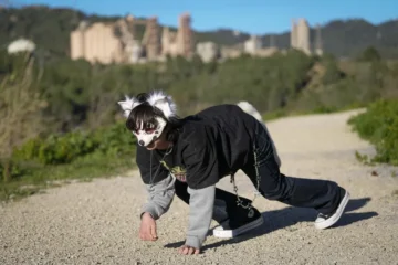 Recomendación del día: «teriano» y «zoántropo», alternativas válidas en español a «therian» Recomendación del día: «teriano» y «zoántropo», alternativas válidas en español a «therian»