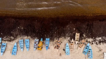 APEC anuncia continuación de la Exposición Itinerante del Premio APEC al Periodismo Fotográfico APEC anuncia continuación de la Exposición Itinerante del Premio APEC al Periodismo Fotográfico