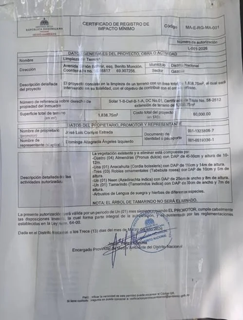 Denuncian «crimen ecológico» intento de tala de árbol centenario en Gascue Denuncian «crimen ecológico» intento de tala de árbol centenario en Gascue