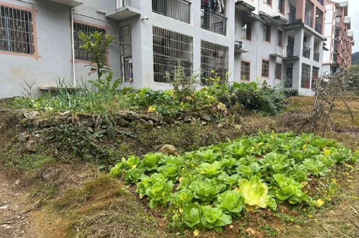 CHINA-EXPOBRE-5-JPG-728x482