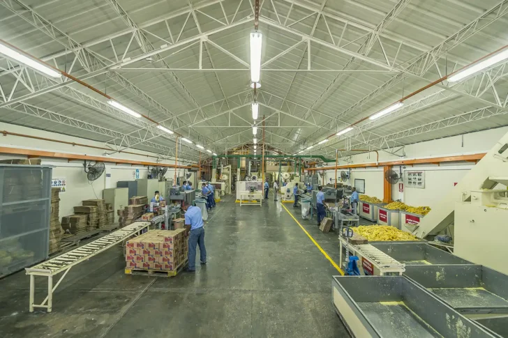 CNTD solicita al Ministerio de Trabajo inspección urgente por seguridad e higiene a la empresa César Iglesias