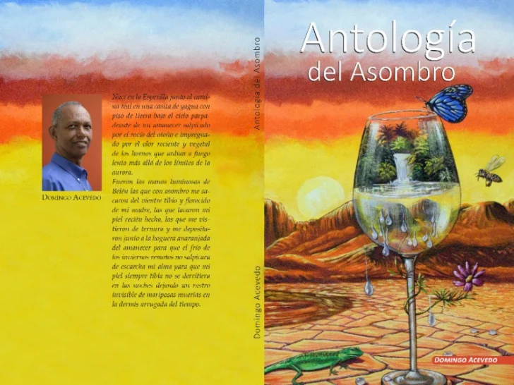 Voces y memorias de resistencia en la poesía de Domingo Acevedo