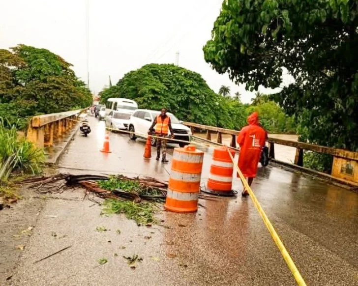Expresidente del Codia sugiere mantenimiento de puentes para evitar tragedias humanas y perdidas económicas