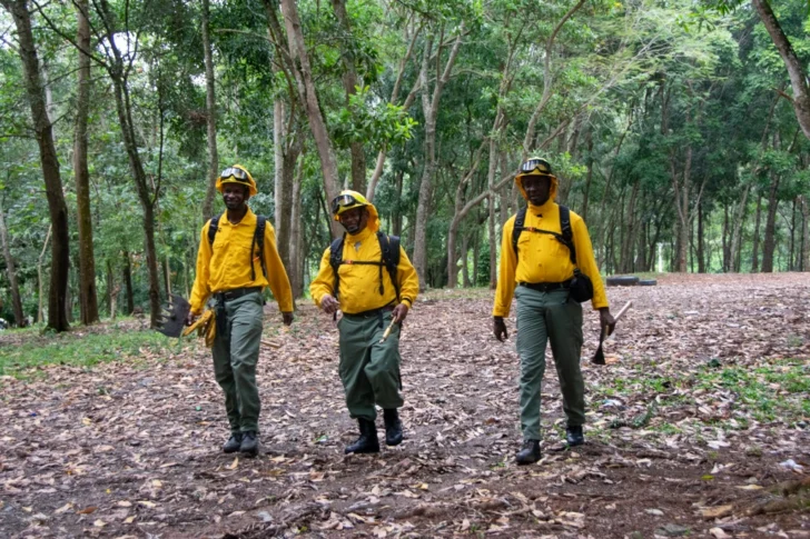 Entre humo y vocación: los bomberos forestales que arriesgan todo para salvar los bosques dominicanos