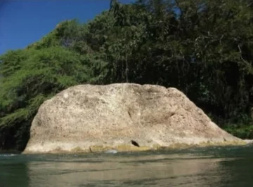 Donde nacieron las historias