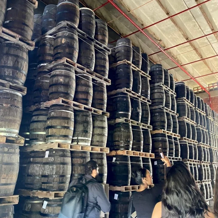 WhatsApp-Image-2026-03-13-at-3.22.14-PM-728x728