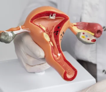 Efemérides del 14 de marzo, ¿qué se celebra hoy?