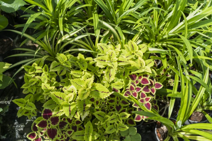 Efemérides 03 de marzo: ¿Qué celebramos hoy? Efemérides 03 de marzo: ¿Qué celebramos hoy?