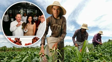 Banco Agrícola ofrece préstamos al 6 % para tecnificar el campo Banco Agrícola ofrece préstamos al 6 % para tecnificar el campo