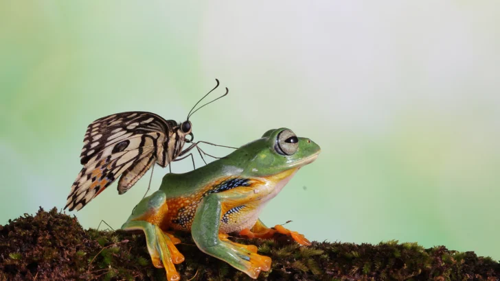 Efemérides 03 de marzo: ¿Qué celebramos hoy? Efemérides 03 de marzo: ¿Qué celebramos hoy?