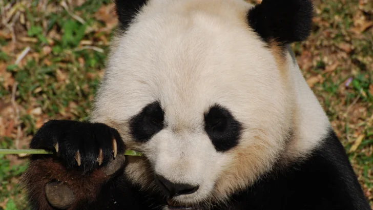 Efemérides 16 de marzo, ¿qué se celebra hoy? Efemérides 16 de marzo, ¿qué se celebra hoy?
