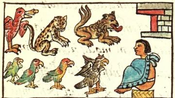 El zoológico de Moctezuma que asombró a los españoles hace 500 años y que recién ahora empezamos a conocer