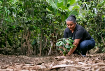 Ford abre convocatoria para Donativos Ambientales Ford 2026