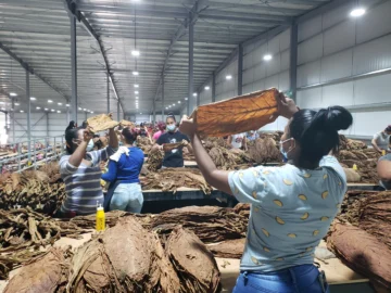 Exportaciones de zonas francas alcanzan US$ 841 millones en marzo Exportaciones de zonas francas alcanzan US$ 841 millones en marzo