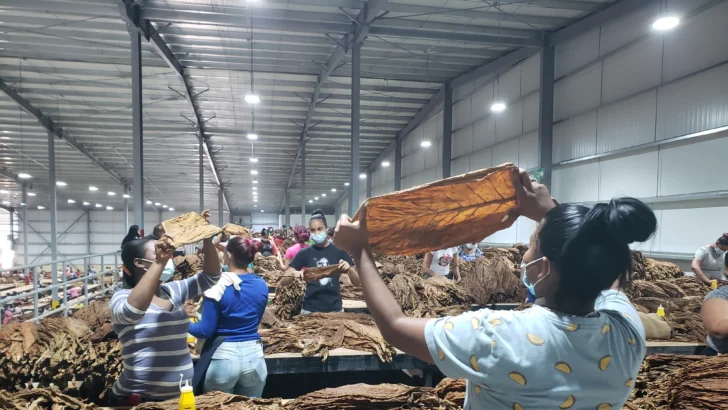 Exportaciones de zonas francas alcanzan US$ 841 millones en marzo