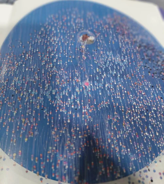 El Maestro Breleur. La fragilidad de un corazón de cristal