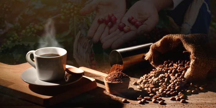 Día Nacional del Café: historia, cifras y el valor de una bebida que define la identidad dominicana