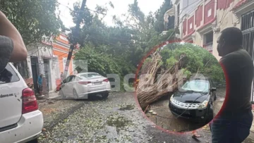 ¡Caos en la Ciudad Colonial! Lluvias provocan caída de árboles, daños eléctricos y a vehículos ¡Caos en la Ciudad Colonial! Lluvias provocan caída de árboles, daños eléctricos y a vehículos
