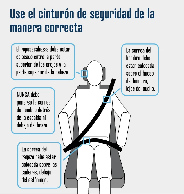 Usar el cinturón de seguridad reduce hasta un 50% el riesgo de muerte en accidentes Usar el cinturón de seguridad reduce hasta un 50% el riesgo de muerte en accidentes