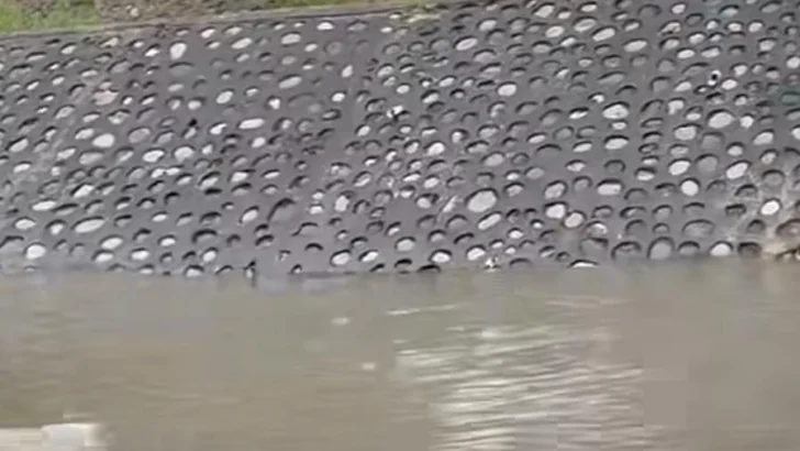 Crecida del río Lebrón provoca inundaciones en la avenida Monumental