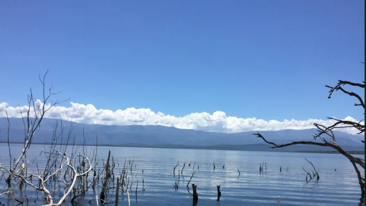 CDP invita a periodistas a la Vuelta al Lago Enriquillo el sábado 11 de abril CDP invita a periodistas a la Vuelta al Lago Enriquillo el sábado 11 de abril
