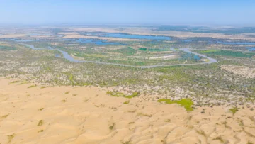 En China, logran reverdecer el desierto de Taklamakán y capturar carbono, pero ¿es una buena noticia?