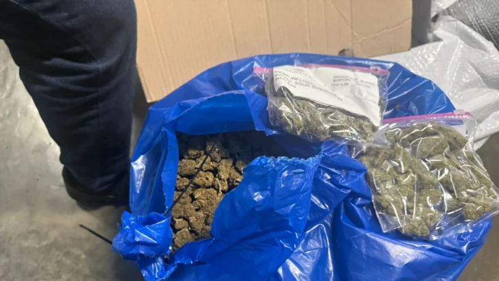Incautan 35 libras de marihuana en el Aila durante operativo de inspección