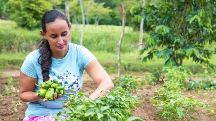Participación femenina en cooperativas Airac se acerca al 50 % en 2025 Participación femenina en cooperativas Airac se acerca al 50 % en 2025