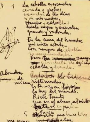 Nanas de la cebolla: jaula de aire