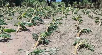 Daños en viviendas, plantaciones agrícolas y carretera en provincia Valverde Daños en viviendas, plantaciones agrícolas y carretera en provincia Valverde